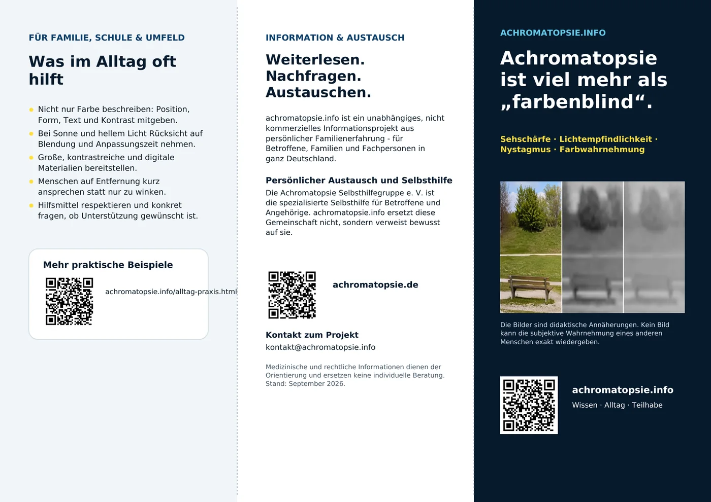 Vorschau des eigenen Achromatopsie-Flyers von achromatopsie.info