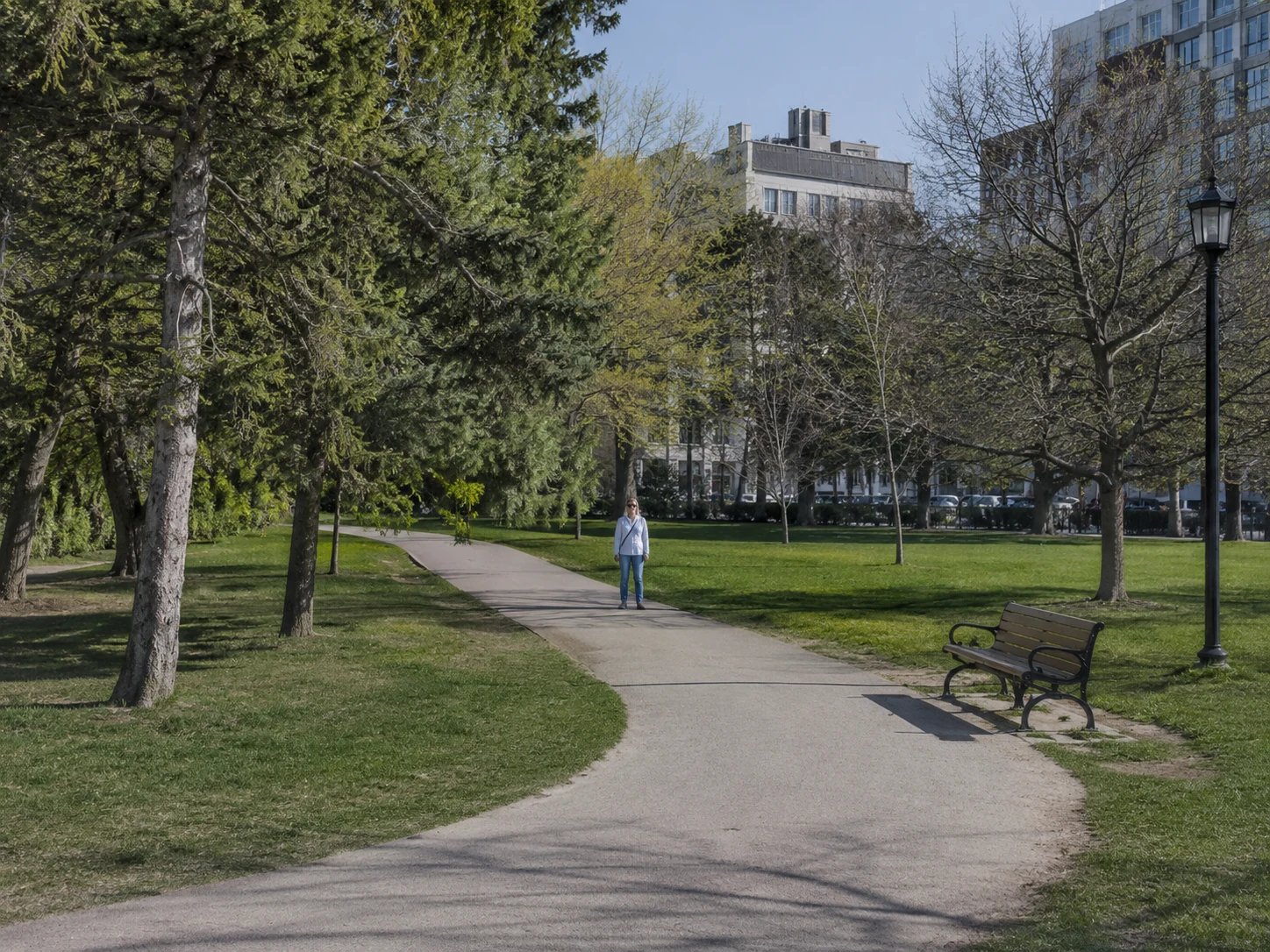 Ruhiger Stadtpark mit geschwungenem Weg